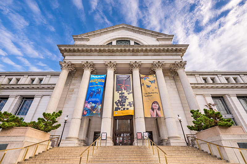 National Museum of Natural History in DC. It is considered the second most visited museum in the world.