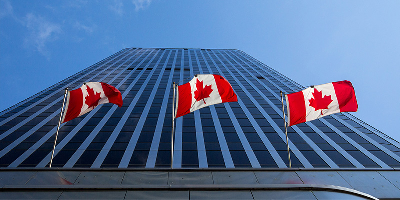 Canadian flags outside an office building in Ottawa