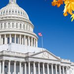 After Surprise Midterms, Leadership Races and Lame Duck Begin