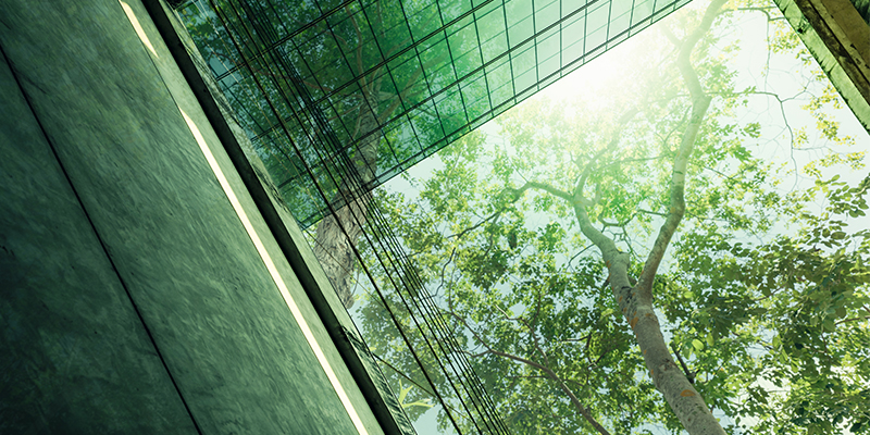 Maintaining Asset Value in an Era of Climate Change and Risk