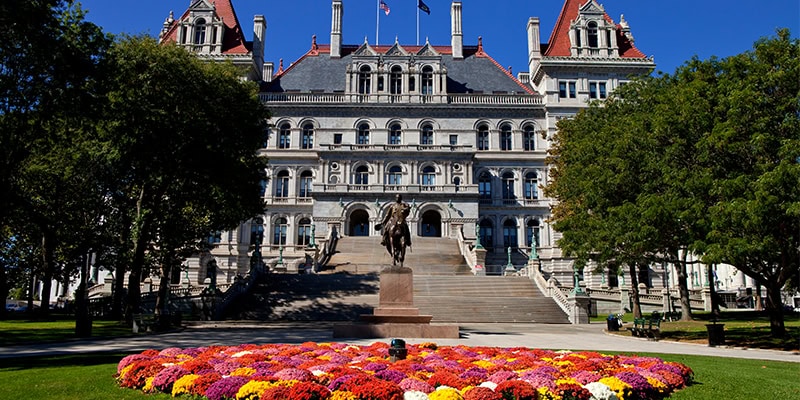 NY Legislature
